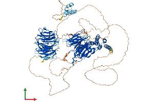 Protein Structure (PS) image for WD Repeat and HMG-Box DNA Binding Protein 1 (WDHD1) (AA 1-1129) protein (His tag) (ABIN7556010)