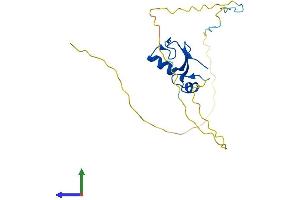 Protein Structure (PS) image for Ring Finger Protein 4 (RNF4) (AA 1-190) protein (His tag) (ABIN7555270)