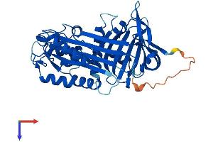 SERPINB9 Protein (AA 1-376) (His tag)