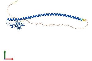 Protein Structure (PS) image for Cyclin B1 Interacting Protein 1 (CCNB1IP1) (AA 1-277) protein (His tag) (ABIN7553377)