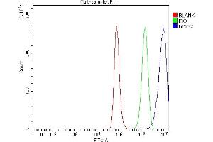Flow Cytometry analysis of A549 cells using anti-ADAR1/ADAR antibody (ABIN7603211). (DDX3X Antikörper  (N-Term))