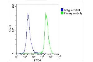 Overlay histogram showing U-2 OS cells stained with (ABIN1538845 and ABIN2849604)(green line). (N6AMT1 Antikörper  (N-Term))