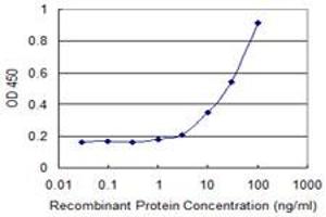 Detection limit for recombinant GST tagged CA10 is 1 ng/ml as a capture antibody. (CA10 Antikörper  (AA 229-328))