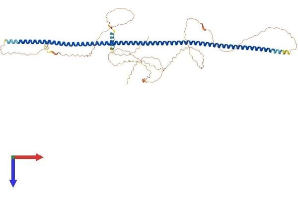 POC5 Protein (AA 1-558) (His tag)
