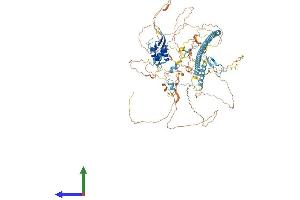 Protein Structure (PS) image for Chromatin Assembly Factor 1, Subunit A (p150) (CHAF1A) (AA 1-956) protein (His tag) (ABIN7552864)