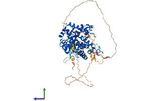 Protein Structure (PS) image for SH2 Domain Containing 3A (SH2D3A) (AA 1-576) protein (His tag) (ABIN7546037)