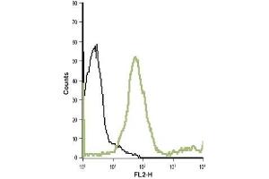 Cell surface detection of mGluR7 in live intact human T cell leukemia (Jurkat) cell line: (black line) Unstained cells + goat-anti-rabbit-PE. (GRM7 Antikörper  (Extracellular))