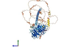 Protein Structure (PS) image for Striatin, Calmodulin Binding Protein 4 (STRN4) (AA 1-753) protein (His tag) (ABIN7544048)