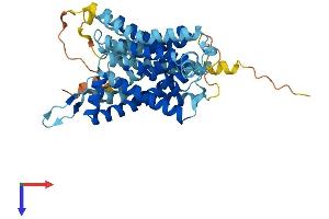 SLC35B2 Protein (AA 1-432) (His tag)