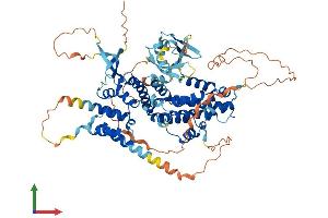 Protein Structure (PS) image for Ral Guanine Nucleotide Dissociation Stimulator-Like 3 (RGL3) (AA 1-709) protein (His tag) (ABIN7557314)