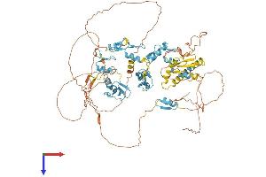 E4F1 Protein (AA 1-784) (His tag)