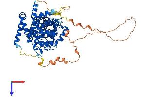 Carabin Protein (AA 1-446) (His tag)