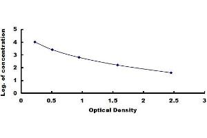 Typical standard curve