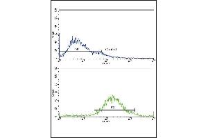 Flow Cytometry (FACS) image for anti-Insulin-Like Growth Factor Binding Protein 2, 36kDa (IGFBP2) (AA 277-305), (C-Term) antibody (ABIN652528)