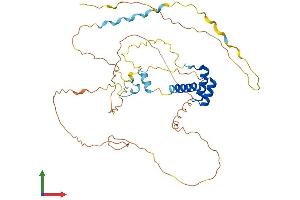 Protein Structure (PS) image for Engrailed Homeobox 1 (EN1) (AA 1-401) protein (His tag) (ABIN7562770)
