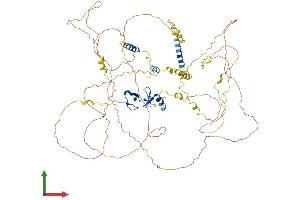 Protein Structure (PS) image for LIM Domain and Actin Binding 1 (LIMA1) (AA 1-759) protein (His tag) (ABIN7548983)