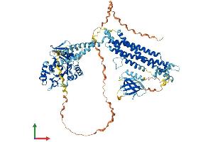 Protein Structure (PS) image for Dynamin 2 (DNM2) (AA 1-870) protein (His tag) (ABIN7553740)