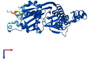 PANK3 Protein (AA 1-370) (His tag)