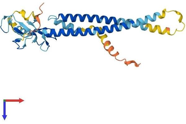TRIM40 Protein (AA 1-258) (His tag)
