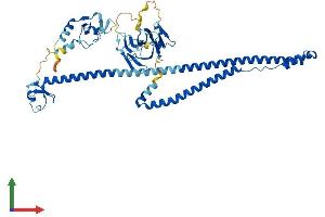 Protein Structure (PS) image for Tripartite Motif Containing 31 (TRIM31) (AA 1-507) protein (His tag) (ABIN7559634)