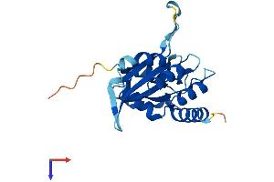 AlphaFold protein structure predicition of Human Recombinant APOBEC3A Protein, UniprotID P31941