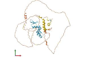 Protein Structure (PS) image for IKAROS Family Zinc Finger 5 (Pegasus) (IKZF5) (AA 1-419) protein (His tag) (ABIN7558891)