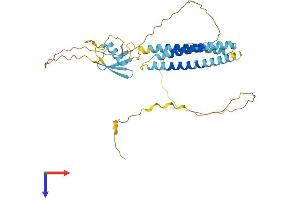 BAG1 Protein (AA 1-355) (His tag)