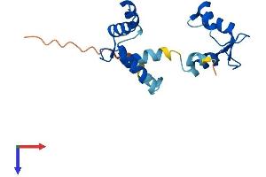 MYL12B Protein (AA 1-172) (His tag)