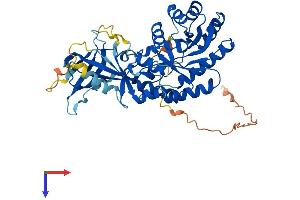 ADC Protein (AA 1-459) (His tag)