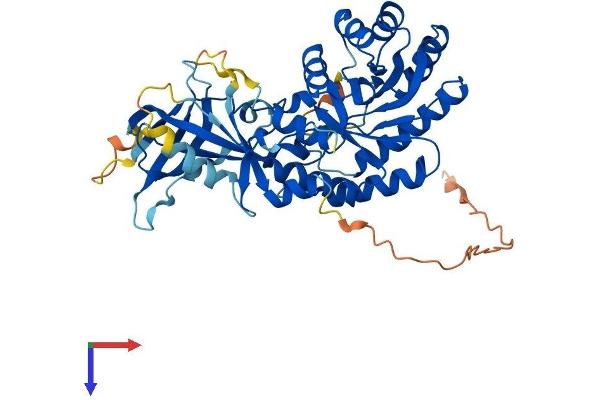 ADC Protein (AA 1-459) (His tag)