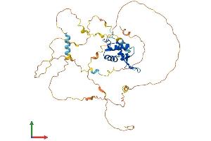 Protein Structure (PS) image for Forkhead Box J1 (FOXJ1) (AA 1-421) protein (His tag) (ABIN7547746)