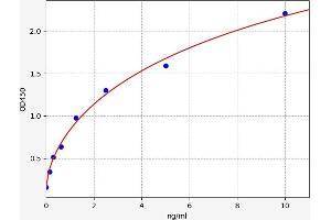 Sialic Acid Binding Ig-Like Lectin 1, Sialoadhesin (SIGLEC1) ELISA Kit