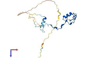 INO80C Protein (AA 1-192) (His tag)