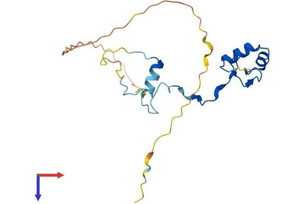 INO80C Protein (AA 1-192) (His tag)