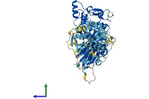 Protein Structure (PS) image for Calpain 12 (CAPN12) (AA 1-720) protein (His tag) (ABIN7561419)
