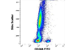 Flow Cytometry (FACS) image for anti-Tumor Necrosis Factor Receptor Superfamily, Member 13C (TNFRSF13C) antibody (FITC) (ABIN7013980)