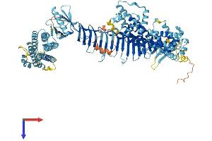 ALS2CL Protein (AA 1-952) (His tag)