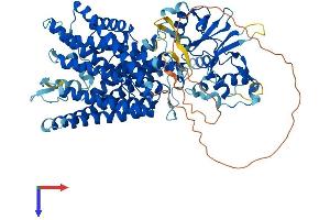 CLCN7 Protein (AA 1-803) (His tag)