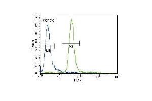 MUSK Antibody (N-term) (ABIN392019 and ABIN2841795) flow cytometric analysis of CEM cells (right histogram) compared to a negative control cell (left histogram). (MUSK Antikörper  (N-Term))