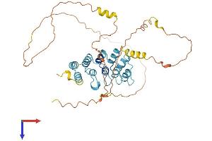 AlphaFold protein structure predicition of Mouse Recombinant Ankrd63 Protein, UniprotID A2ARS0