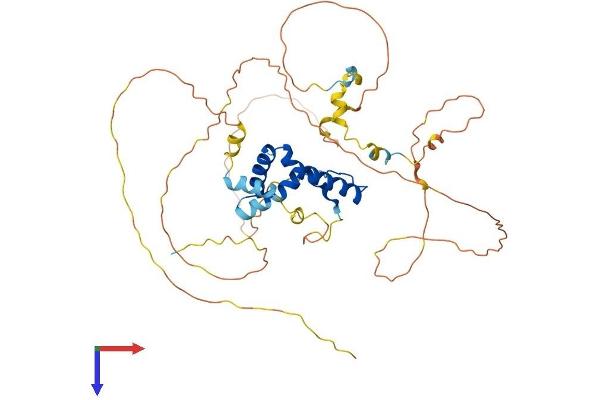 SOX8 Protein (AA 1-446) (His tag)