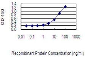 Detection limit for recombinant GST tagged MMP21 is 0. (MMP21 Antikörper  (AA 374-481))