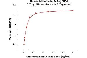 Immobilized Human Mesothelin (296-580), Fc Tag (ABIN2181519,ABIN2181518) at 0.