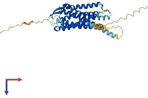 O3FAR1 Protein (AA 1-361) (His tag)