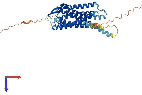 O3FAR1 Protein (AA 1-361) (His tag)