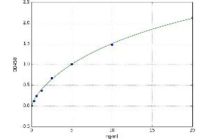 Glutamate Receptor, Ionotropic, N-Methyl D-Aspartate 2a (GRIN2A) ELISA Kit