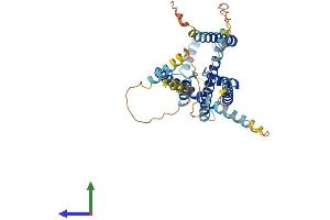 Protein Structure (PS) image for Potassium Channel Subfamily K Member 13 (KCNK13) (AA 1-405) protein (His tag) (ABIN7559678)
