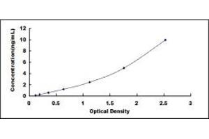 Typical standard curve (PAR1 ELISA Kit)