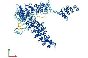 Protein Structure (PS) image for Unc-45 Homolog B (UNC45B) (AA 1-931) protein (His tag) (ABIN7555973)