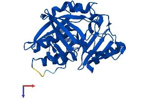 NAT2 Protein (AA 1-290) (His tag)